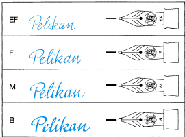 Pelikan Nib Size Chart
